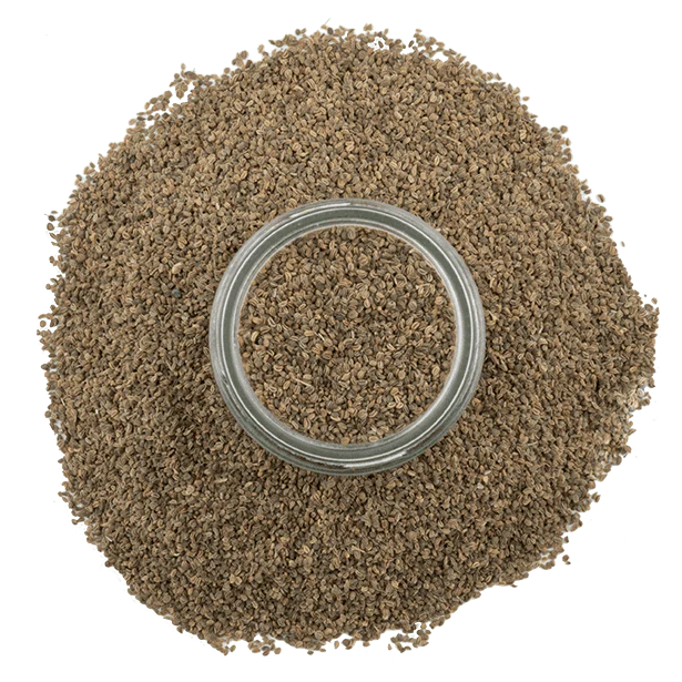 Celery, Whole Seeds - Image 3