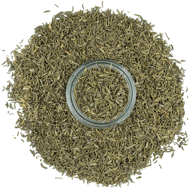 Thyme, French - Image 3